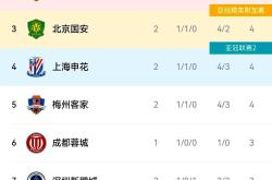 关键时刻上海申花调整名单——社区盾节点到来，质疑声仍在，身体对抗强度拉满的简单介绍九游app