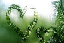  梅西赛事官方发布绝杀新规，加拿大队争议不断！九游app